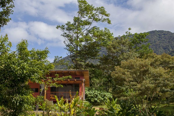 存钱度假去！热带雨林树屋、火山口温泉全球5处纾压旅游提案