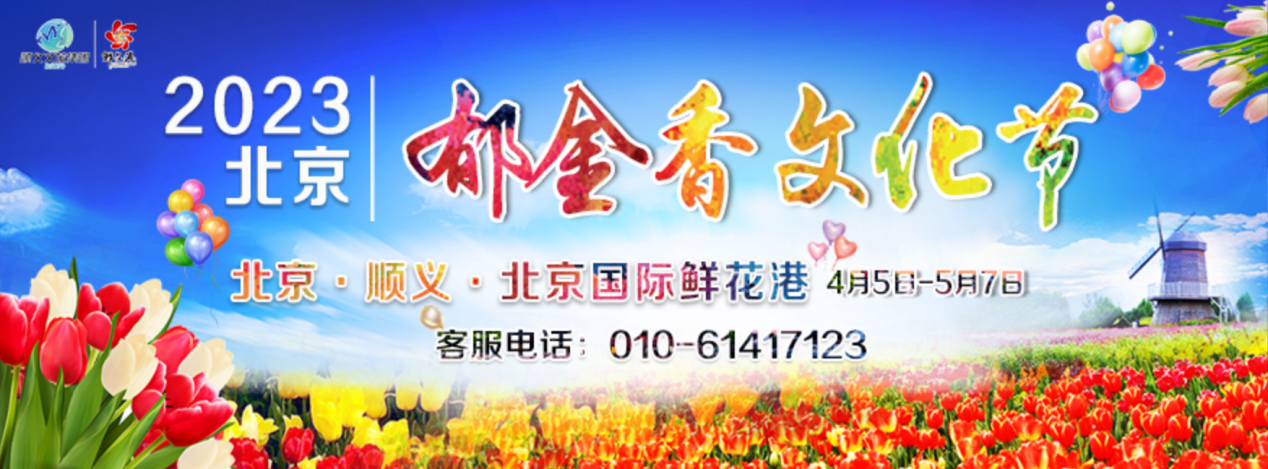 美爆了！百万株郁金香进入盛花期！来北京国际鲜花港郁见美好！