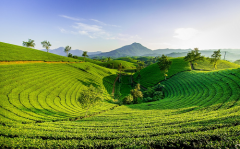 春季踏青旅游路线怎么安排？抹茶陈建建议你这么玩